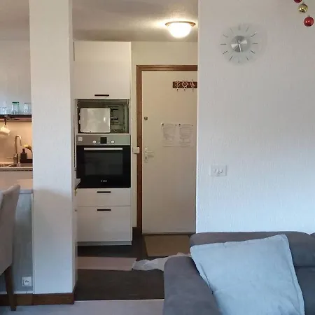 Beau Duplex 3 Pieces Au Pied Des Pistes Avec Tv, Dvd, Balcon, Et Parking A - Fr-1-573-72 Appartement *